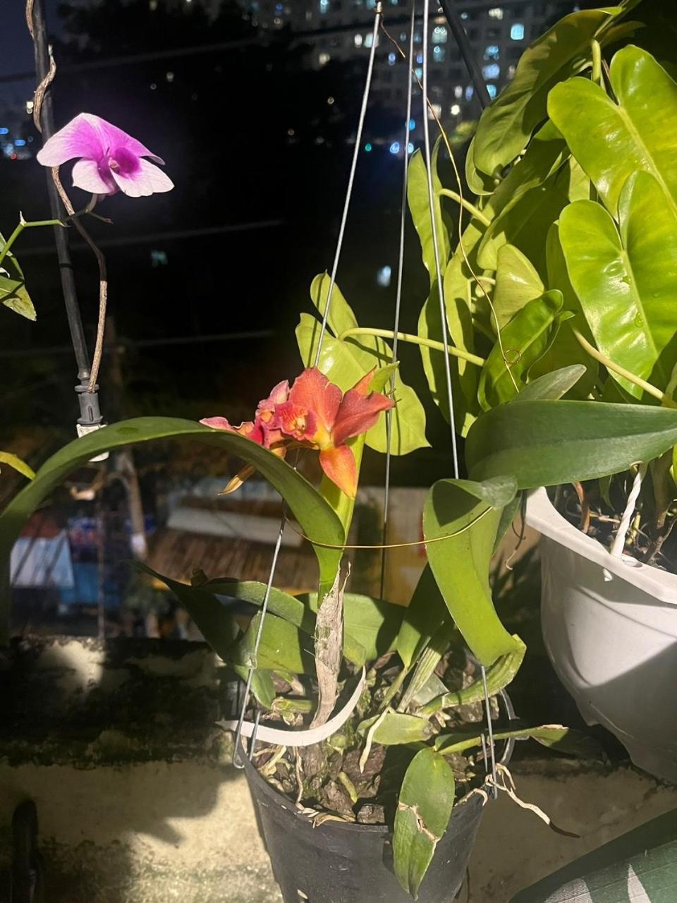 May House Binhthanh 호치민 외부 사진