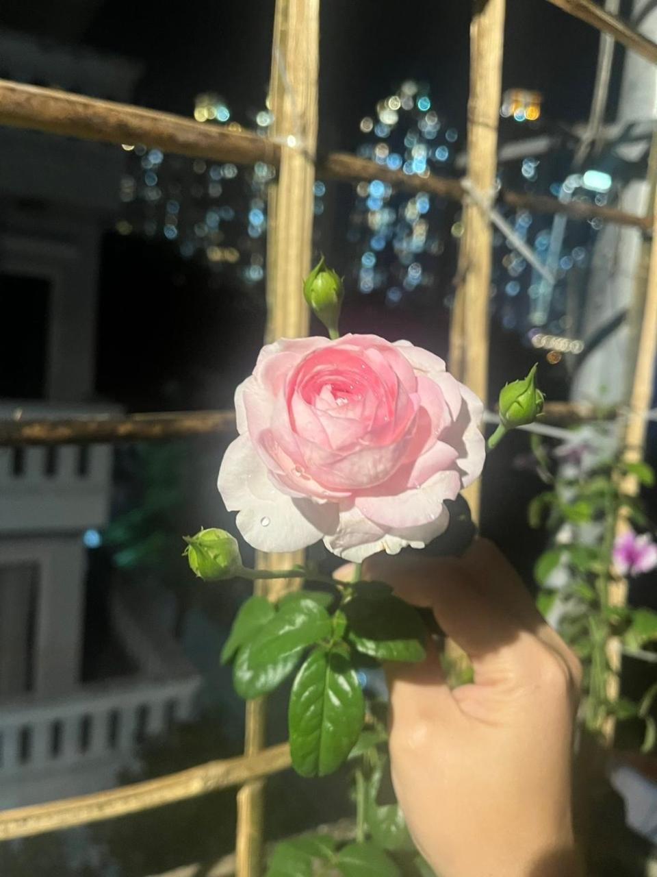 May House Binhthanh 호치민 외부 사진
